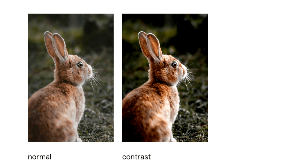 CSSフィルターと効果まとめ filter: contrast()でコントラスト調整