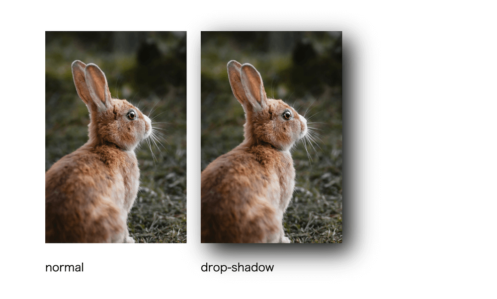 CSSフィルターと効果まとめ drop-shadow()でドロップシャドウ追加