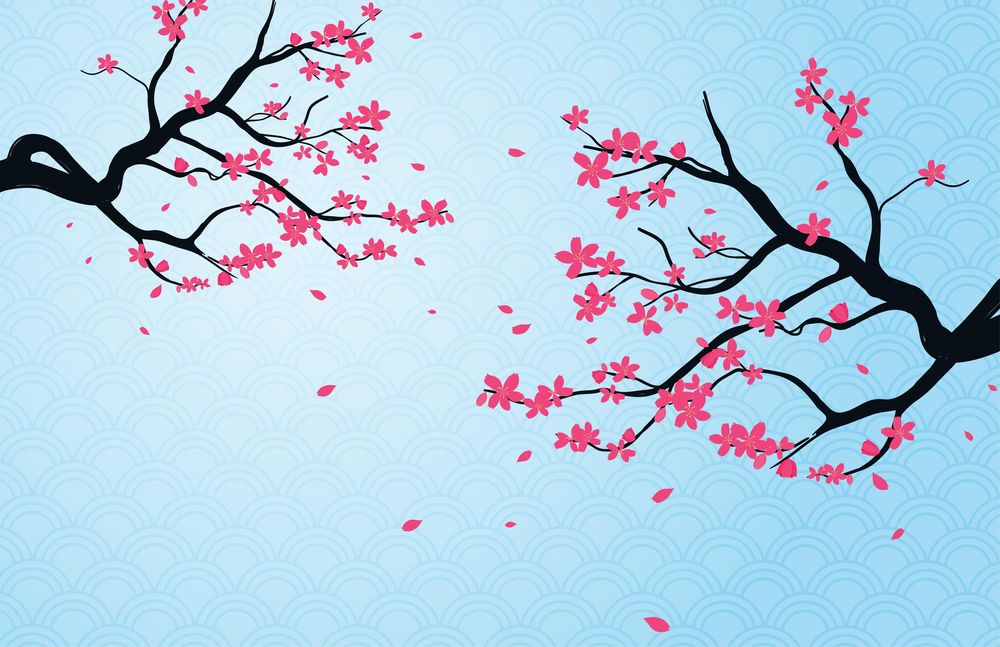 無料でダウンロードできる桜のベクター素材4